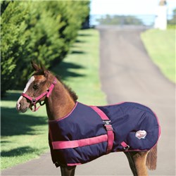 RUG4299 NVPK
